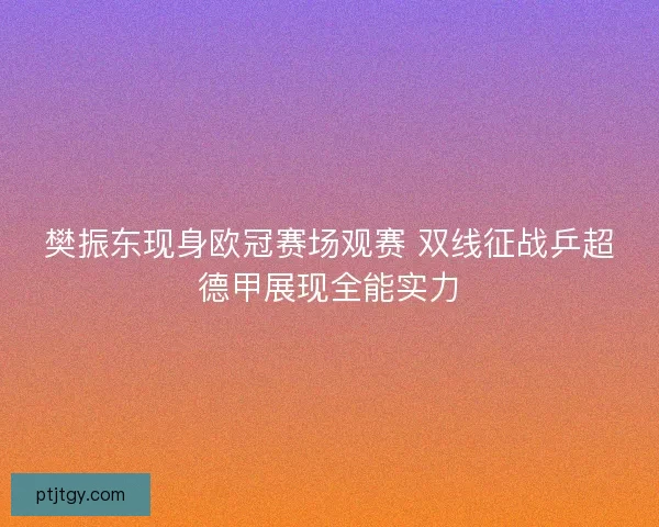 樊振东现身欧冠赛场观赛 双线征战乒超德甲展现全能实力