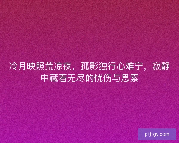 冷月映照荒凉夜，孤影独行心难宁，寂静中藏着无尽的忧伤与思索
