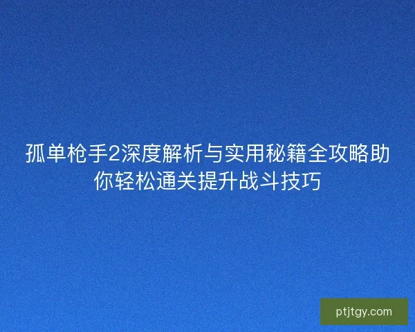孤单枪手2深度解析与实用秘籍全攻略助你轻松通关提升战斗技巧