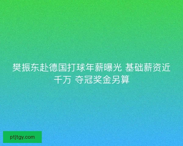樊振东赴德国打球年薪曝光 基础薪资近千万 夺冠奖金另算 樊振东赴德国打球年薪曝光 基础薪资近千万 夺冠奖金另算